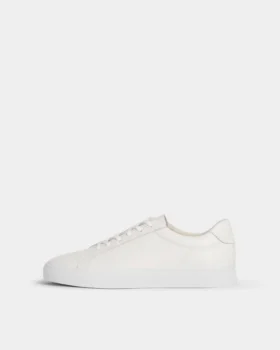 Cody Sneakers