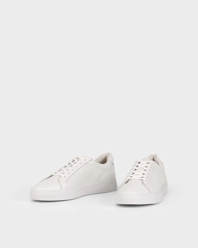 Cody Sneakers