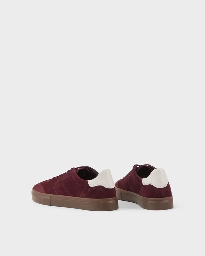 Cody Sneakers