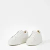 Judy Sneakers
